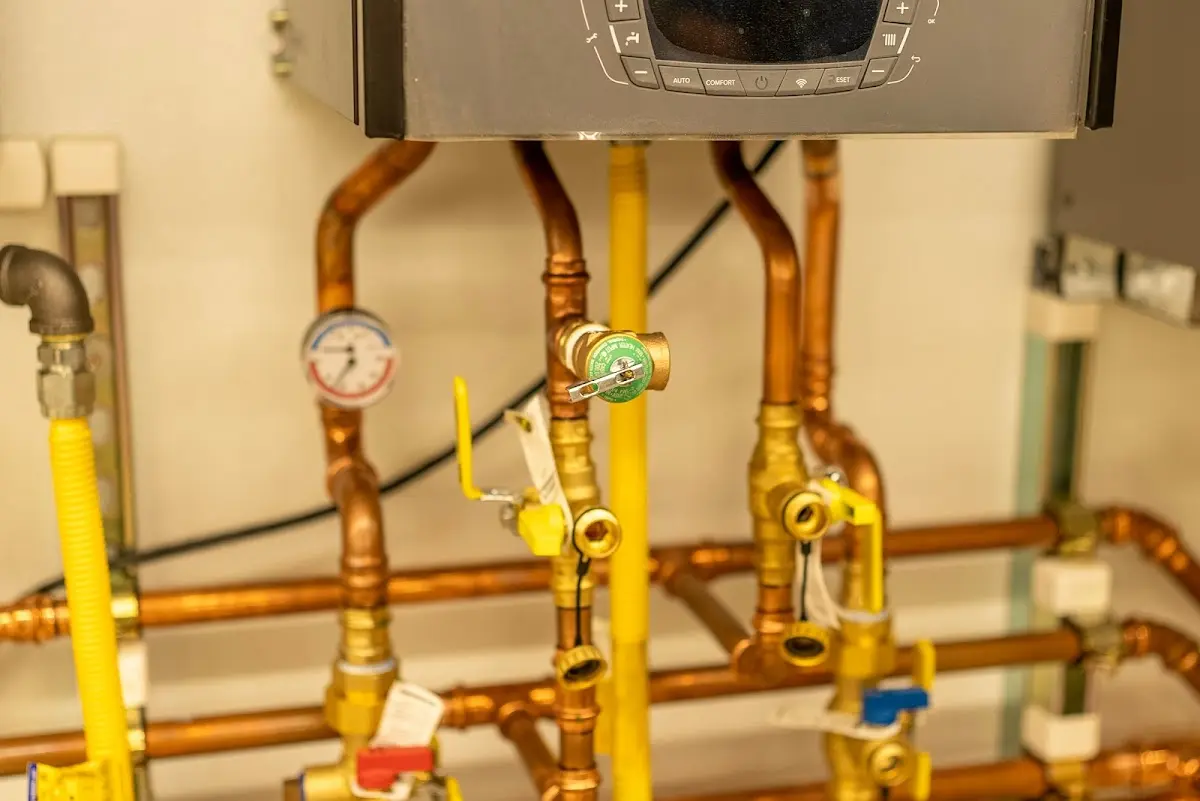 Licensed technician providing Emergency Plumbing for a homeowner in Hamburg